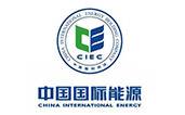 中国国际新能源